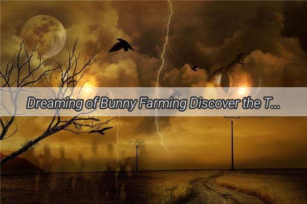 Dreaming of Bunny Farming Discover the Thrill of Raising Rabbits in Your Sleep